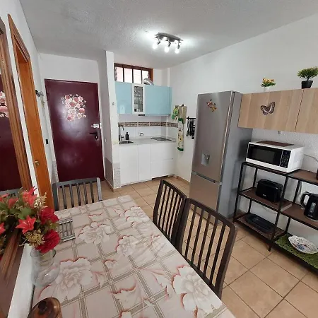 Parque Cattleya 101 Cozy In The Center Διαμέρισμα *